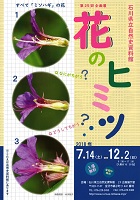 花のヒミツ　2018年7月14日から12月2日まで　石川県立自然史資料館