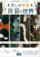 美しき甲虫　20190713-1013　石川県立自然史資料館