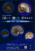企画展 切って、磨いて、中をみよう