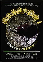 第35回企画展 夜の昆虫大集合