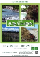 手取川の植物