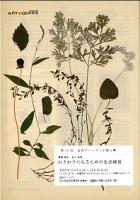 第10回金沢アートグミ企画公募