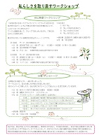 日曜フェミトーク　2019年9月8日から12月22日　ウィメンズ・エンパワーメント金沢プロジェクト